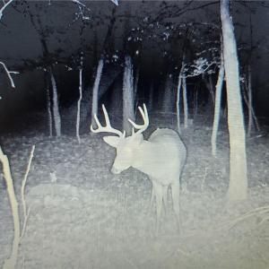 late fall of 2025