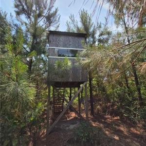 Hunting Blind built on property