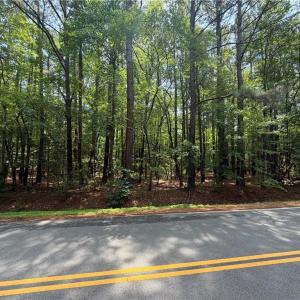 Photo #3 of 1AC Indian Trail, Suffolk, Virginia 1.4 acres