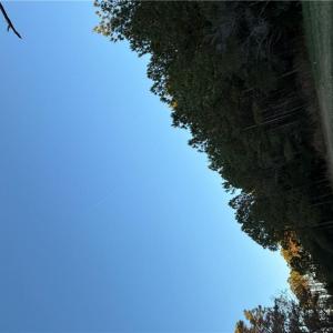 Photo #4 of 5+AC Moon Haven Lane, Mathews, Virginia 5.6 acres
