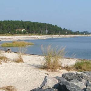 Photo #8 of 5+AC Moon Haven Lane, Mathews, Virginia 5.6 acres