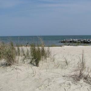 Photo #9 of 5+AC Moon Haven Lane, Mathews, Virginia 5.6 acres