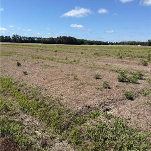 Stunning Vacant Lot Ready For A Home!
