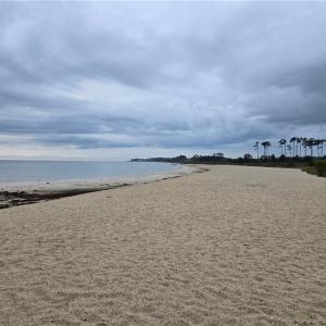 Haven Beach public