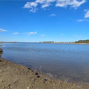 Photo #5 of 10+AC Haven Beach Road, Moon, Virginia 11.3 acres