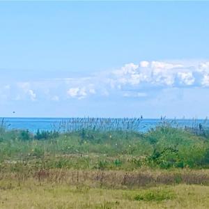 Photo #3 of 1086 Ocean View Avenue, Norfolk, Virginia 0.3 acres