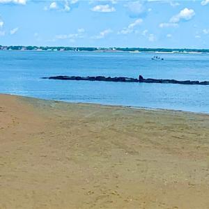 Photo #7 of 1086 Ocean View Avenue, Norfolk, Virginia 0.3 acres