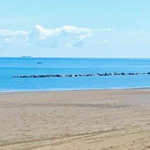 Photo #8 of 1086 Ocean View Avenue, Norfolk, Virginia 0.3 acres