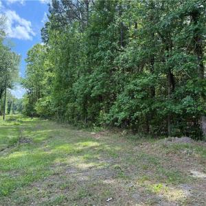 Photo #3 of 6701 Crittenden Road, Suffolk, Virginia 5.0 acres