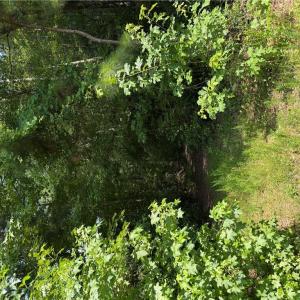 Photo #1 of 1737 Binford Street, Chesapeake, Virginia 0.2 acres