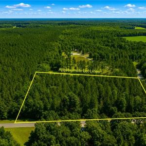 Photo #1 of Lot 42 Forest View Lane, Little Plymouth, Virginia 3.8 acres
