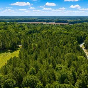 Photo #6 of Lot 42 Forest View Lane, Little Plymouth, Virginia 3.8 acres