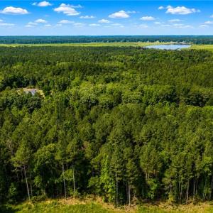 Photo #7 of Lot 42 Forest View Lane, Little Plymouth, Virginia 3.8 acres