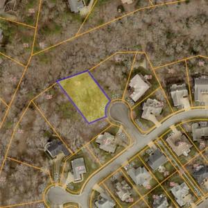 Lot backing to greenspace
