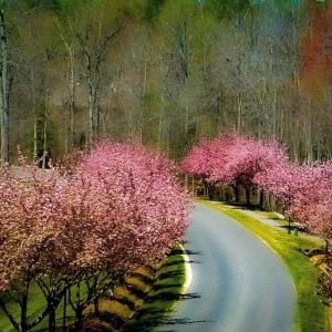 Beautiful winding roads