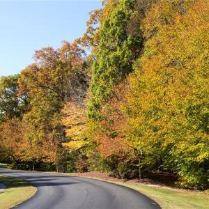 Photo #17 of 209 Kilton Forest, Williamsburg, Virginia 0.5 acres
