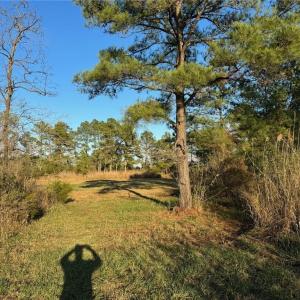 Photo #7 of 151 Messick Road, Poquoson, Virginia 5.2 acres