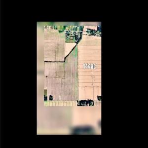 Photo #2 of 145A Beaver Dam Road, Chesapeake, Virginia 144.8 acres