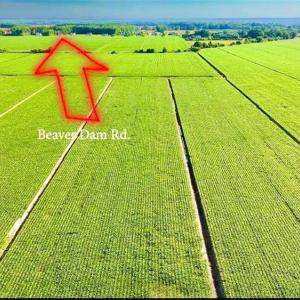 Property has road frontage on both Beaver Dam and Head of River Roads-