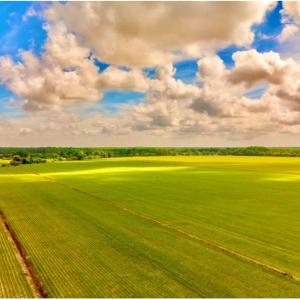Photo #4 of 145A Beaver Dam Road, Chesapeake, Virginia 144.8 acres