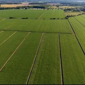 Photo #5 of 145A Beaver Dam Road, Chesapeake, Virginia 144.8 acres