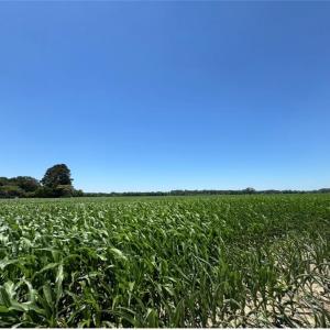 Photo #3 of 2A Head Of River Road, Chesapeake, Virginia 2.0 acres