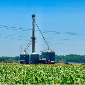 Surrounded by working farms-
