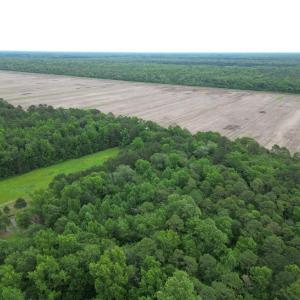 Photo #12 of 1813 Shillelagh Road, Chesapeake, Virginia 7.4 acres