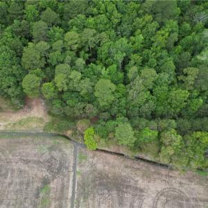 Photo #4 of 1813 Shillelagh Road, Chesapeake, Virginia 7.4 acres