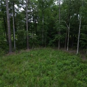Photo #8 of 1813 Shillelagh Road, Chesapeake, Virginia 7.4 acres