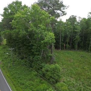 Photo #9 of 1813 Shillelagh Road, Chesapeake, Virginia 7.4 acres