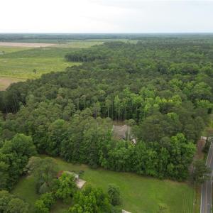 Photo #10 of 1813 Shillelagh Road, Chesapeake, Virginia 7.4 acres