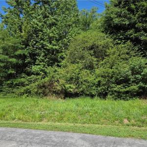 Photo #2 of Lot 2 Branch Bridge Street, Branchville, Virginia 0.5 acres