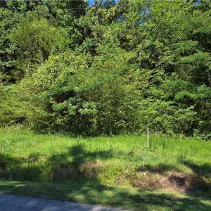 Photo #1 of Lot 3 Branch Bridge Street, Branchville, Virginia 0.5 acres