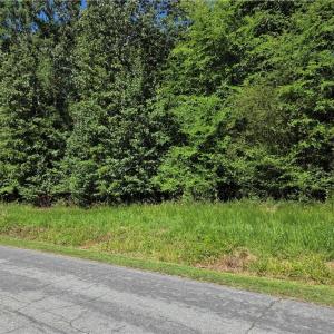 Photo #1 of Lot 4 Branch Bridge Street, Branchville, Virginia 0.5 acres