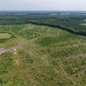 Photo #12 of 109 AC Carolina Rd/NC 32 Highway, Suffolk, Virginia 109.0 acres