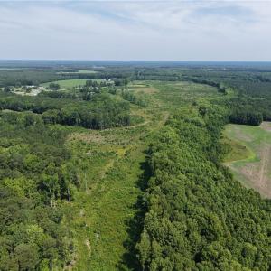 Photo #15 of 109 AC Carolina Rd/NC 32 Highway, Suffolk, Virginia 109.0 acres