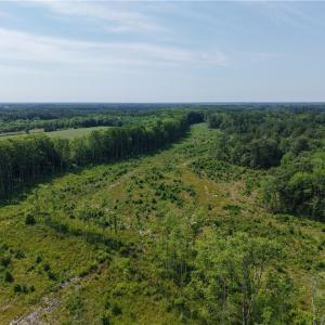 Photo #5 of 109 AC Carolina Rd/NC 32 Highway, Suffolk, Virginia 109.0 acres