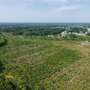 Photo #8 of 109 AC Carolina Rd/NC 32 Highway, Suffolk, Virginia 109.0 acres