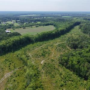 Photo #10 of 109 AC Carolina Rd/NC 32 Highway, Suffolk, Virginia 109.0 acres