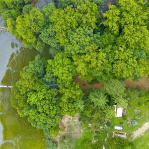Photo #12 of 3938 Paradise Point Road, Hayes, Virginia 0.8 acres