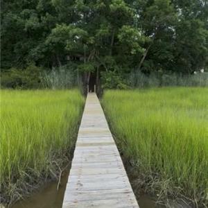 Photo #5 of 3938 Paradise Point Road, Hayes, Virginia 0.8 acres