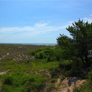 Photo #4 of 6908 Ocean Front Avenue, Virginia Beach, Virginia 0.2 acres