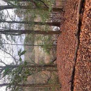 Photo #3 of Lot 7 Mt Holly Creek Lane, Smithfield, Virginia 3.6 acres