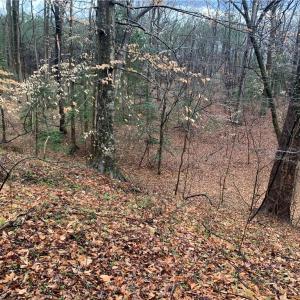 Photo #5 of Lot 7 Mt Holly Creek Lane, Smithfield, Virginia 3.6 acres
