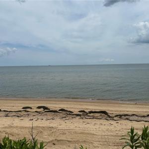 Photo #8 of 266 Ocean View Avenue, Norfolk, Virginia