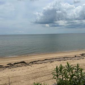 Photo #9 of 266 Ocean View Avenue, Norfolk, Virginia