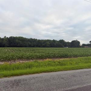 Photo #1 of Lot 19 Longstreet Lane, Suffolk, Virginia 19.6 acres