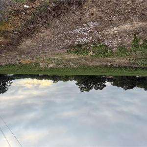 Photo #11 of Lot 19 Longstreet Lane, Suffolk, Virginia 19.6 acres