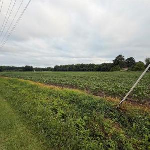 Photo #16 of Lot 19 Longstreet Lane, Suffolk, Virginia 19.6 acres
